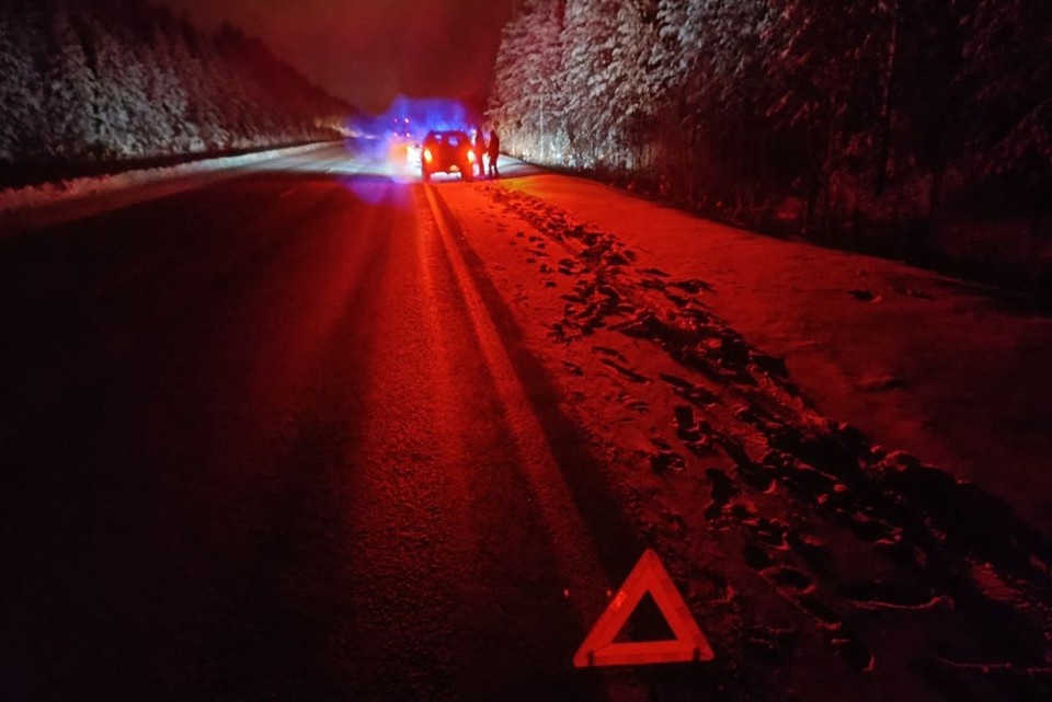    Когда машина заглохла, водитель включил аварийную сигнализацию и выставил знак аварийной остановки. Фото: Госавтоинспекция Свердловской области