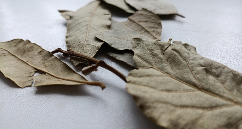    Фото из архива "Про Города"