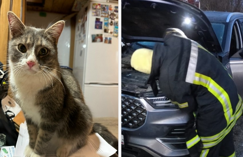    фото: © Отряд противопожарной службы Прионежского района