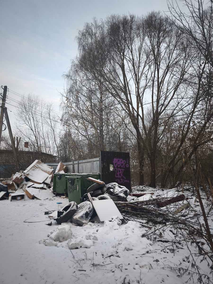 Проблемы крупногабаритного ТБО в каждом населенном пункте нашей страны