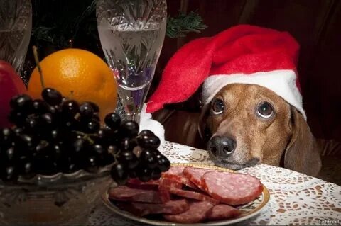 Фото для иллюстрации статьи, взято из свободных источников 