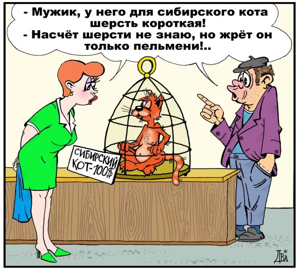 Рыжий кот, который знает слишком много, в карикатурах Виктора Дидюкина