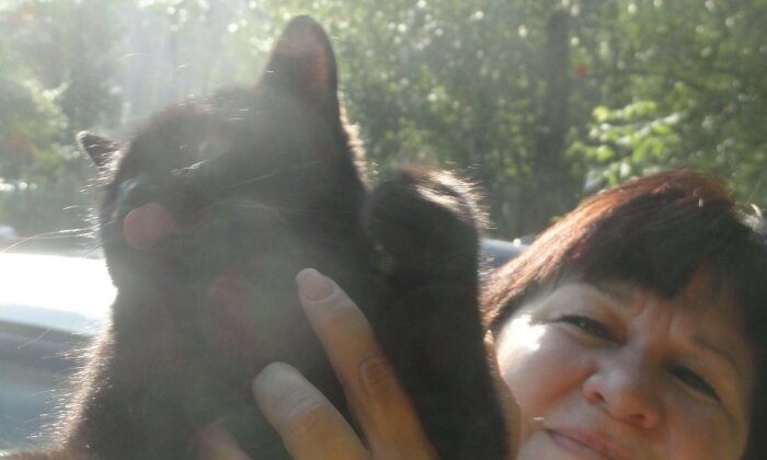 Котику тоже интересно посмотреть на машину, которую продают за пять тысяч рублей / Фото: Vostok.Today