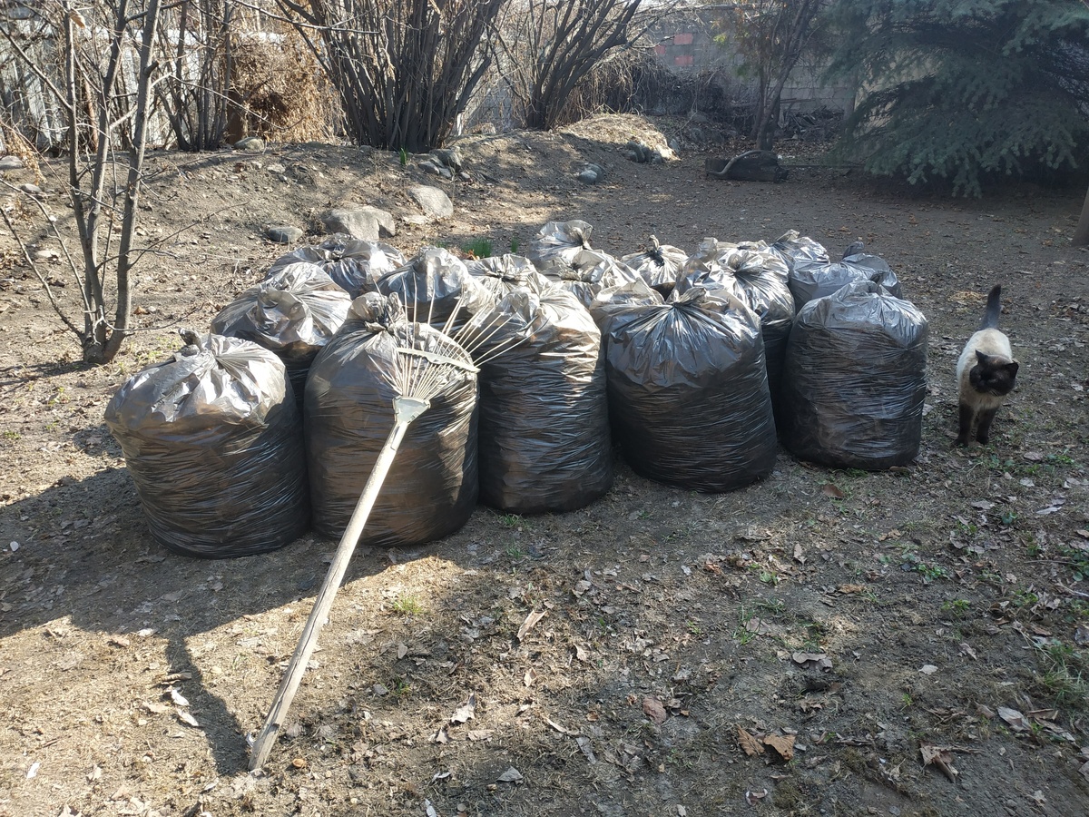    Чаллы.рф, фото из архива