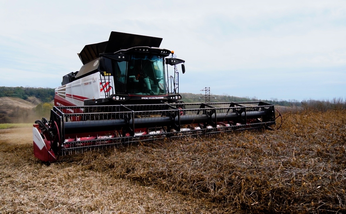 Фото: РБК Черноземье