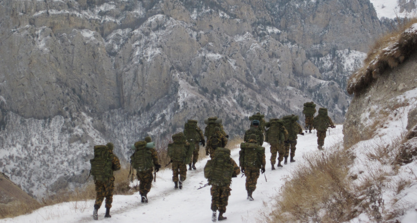    Фото: progorod43.ru