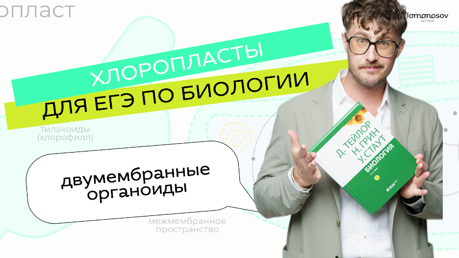 Хлоропласты для ЕГЭ по биологии
