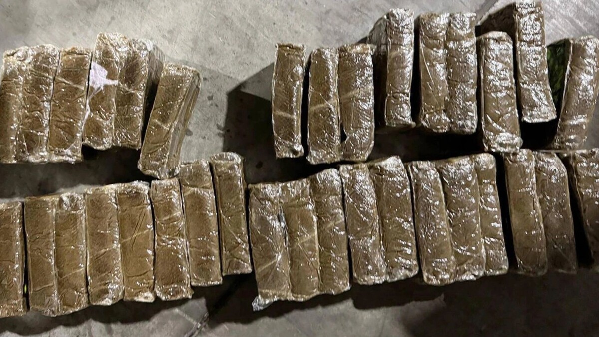    Фото: t.me/customs_bel