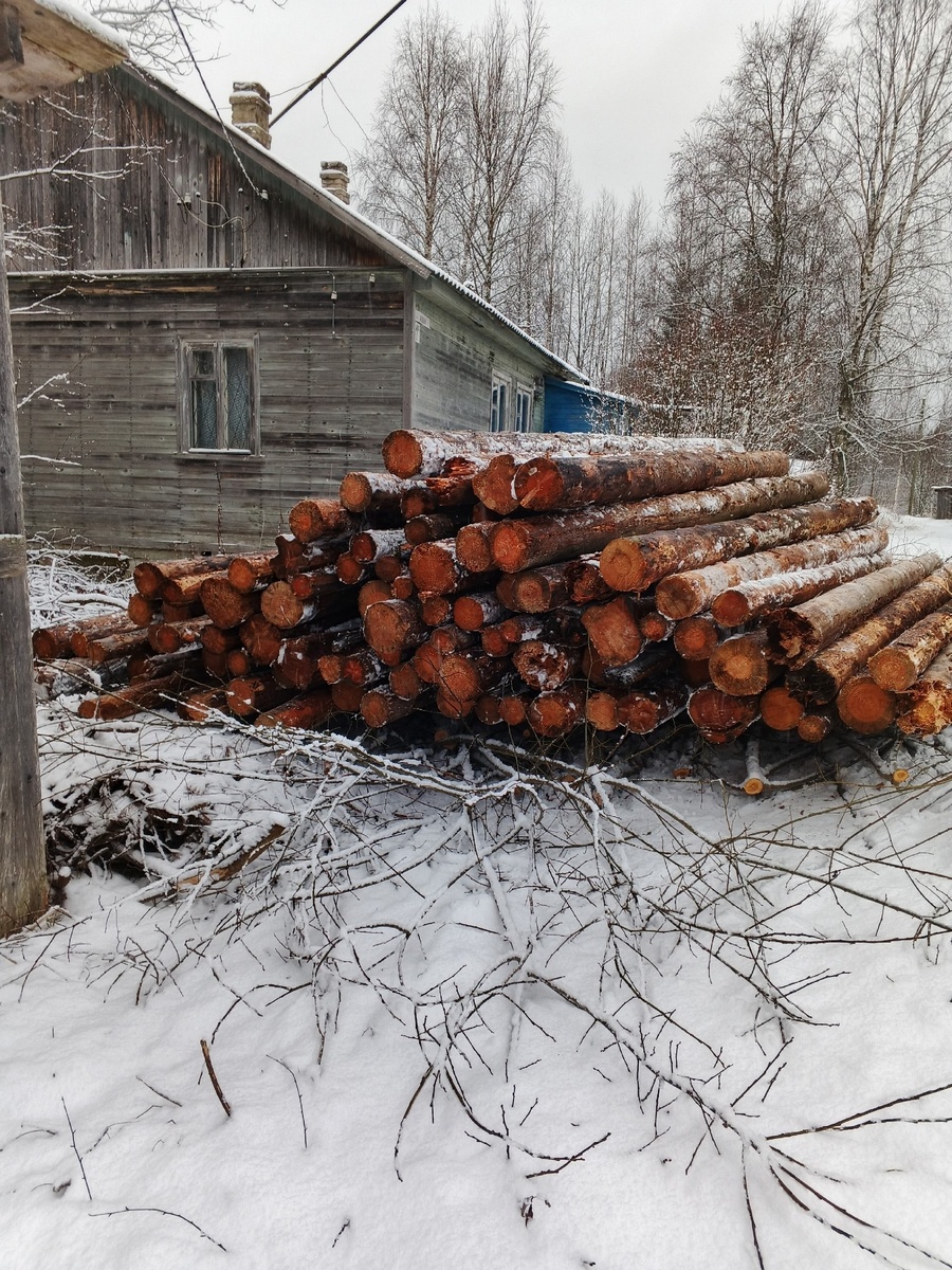    фото: © Наша жизнь - Meijän elaigu