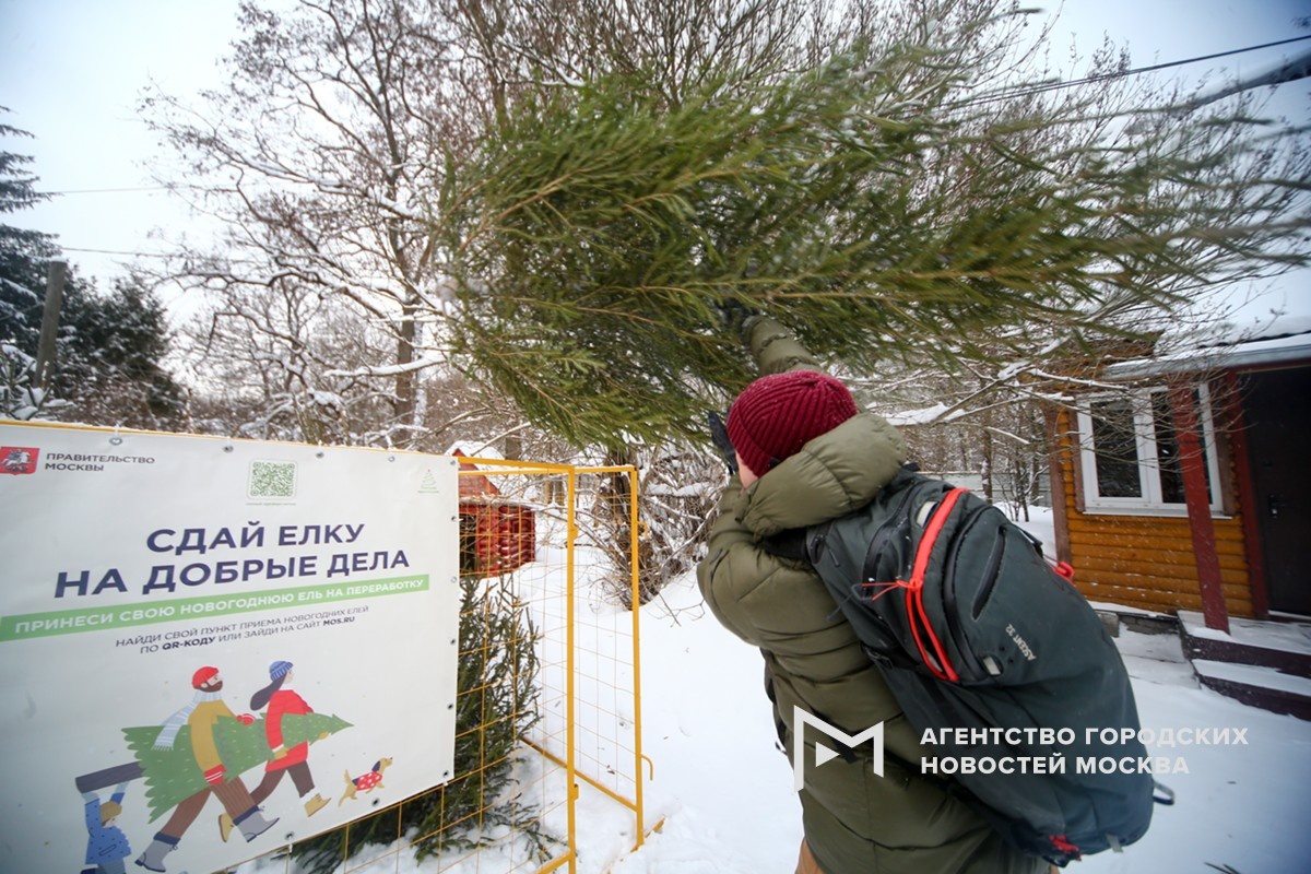 Фотограф: Сергей Ведяшкин
