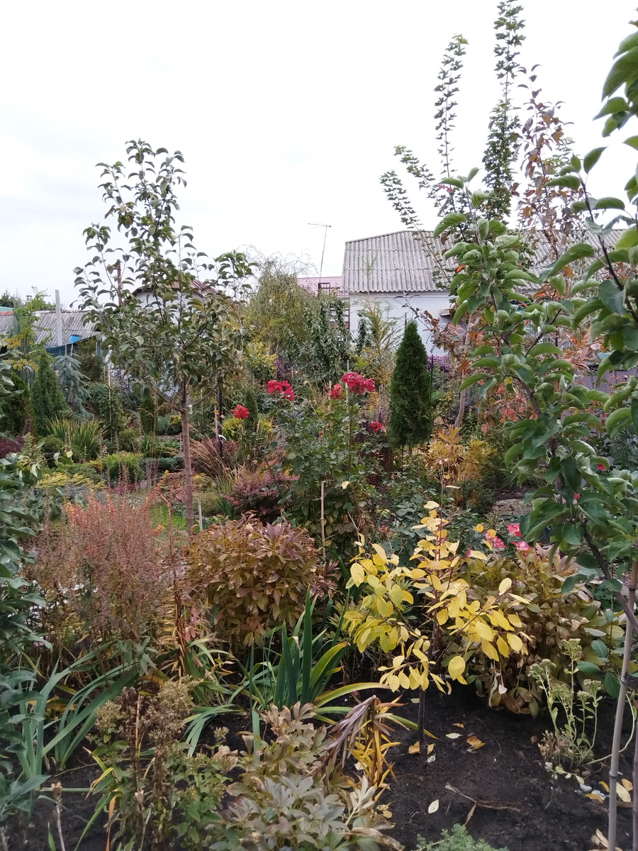 В маленьком саду каждый сантиметр на счету. Каждый!