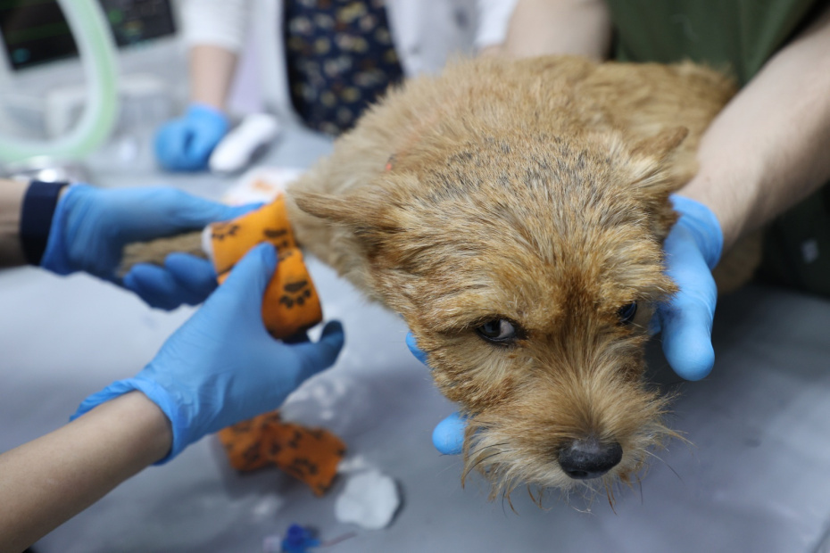    Артём Соболев/NEWS.ru