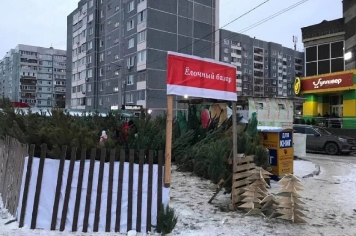    Мэрия Ульяновска расторгла два договора на организацию ёлочных базаров