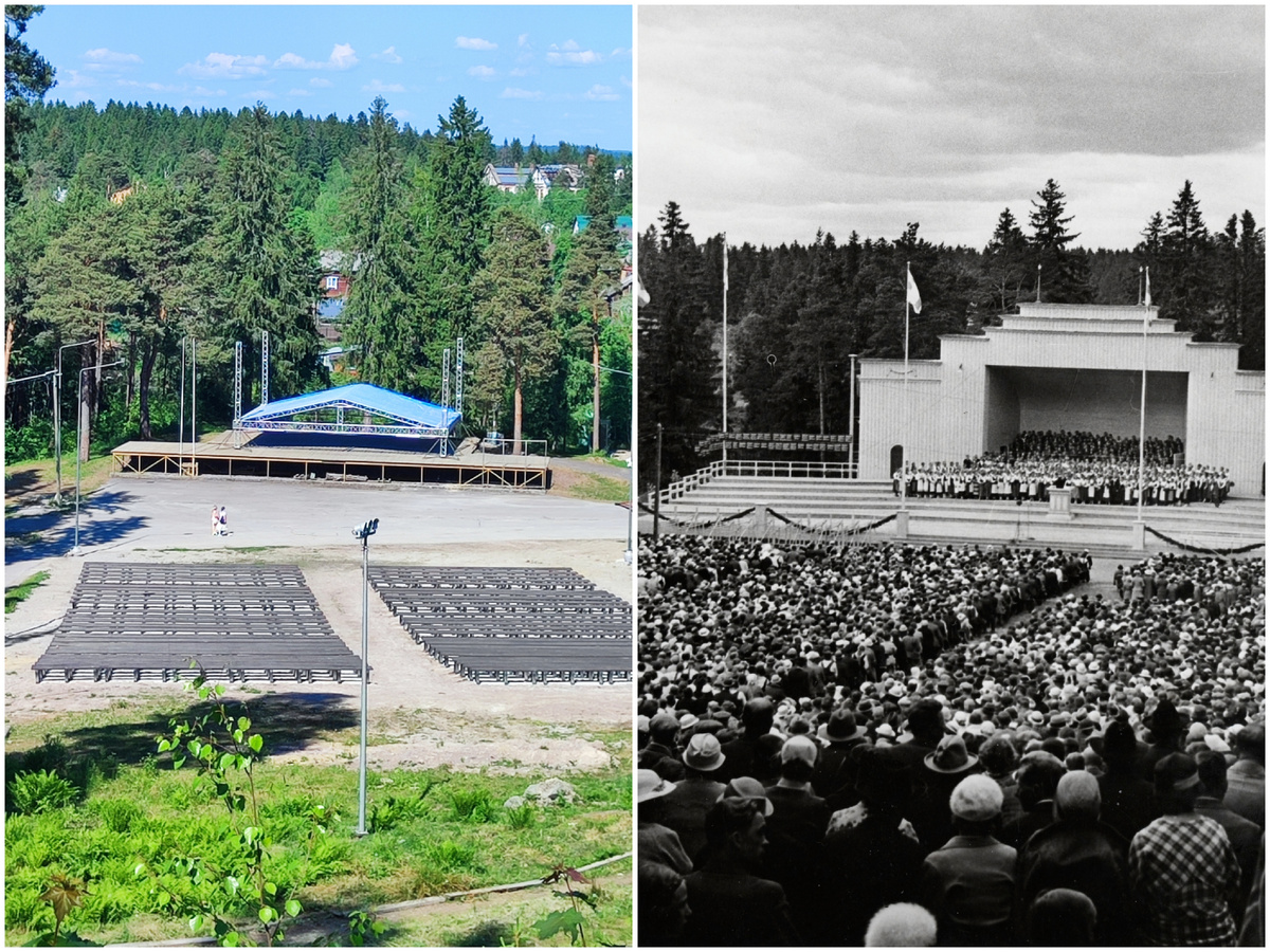 Певческое поле