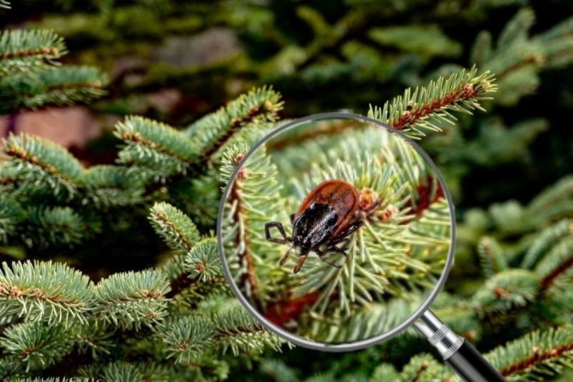     Тематическое фото. Фото: ИА OmskMedia