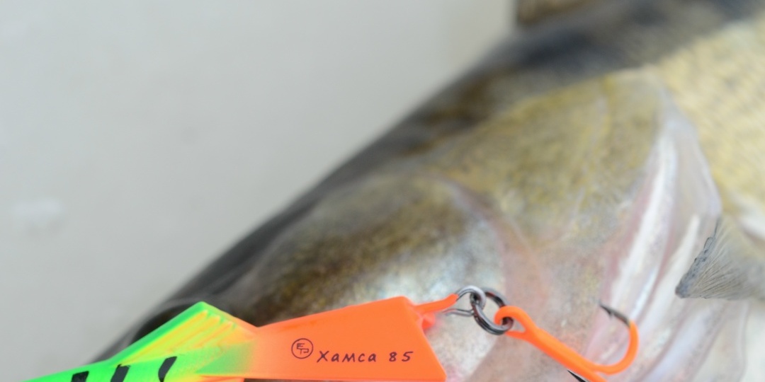 Крупный балансир Хамса