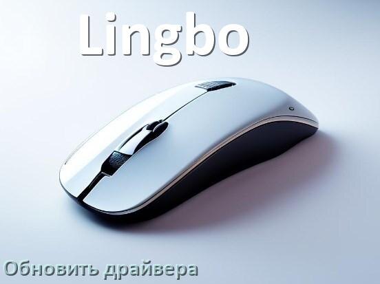 
Как обновить драйвер мыши Lingbo и установить в Windows 11 и 10