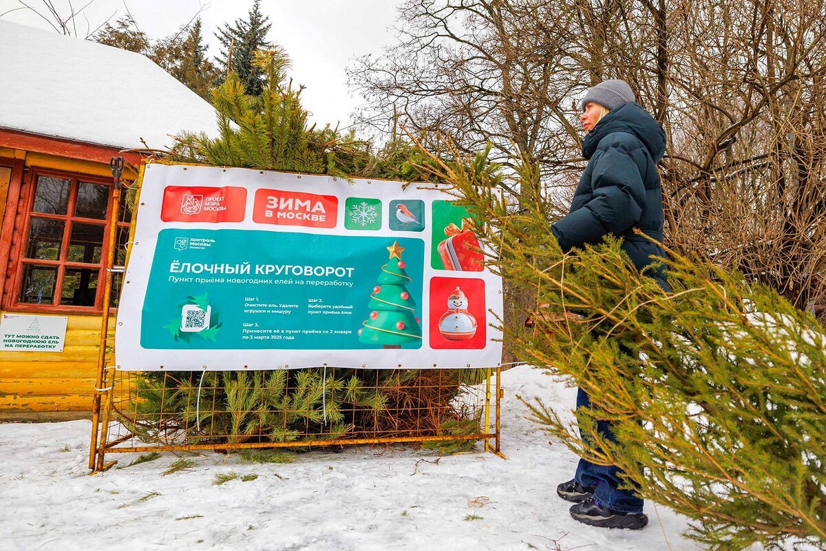    Акция по переработке новогодних деревьев стартует в Москве с начала января