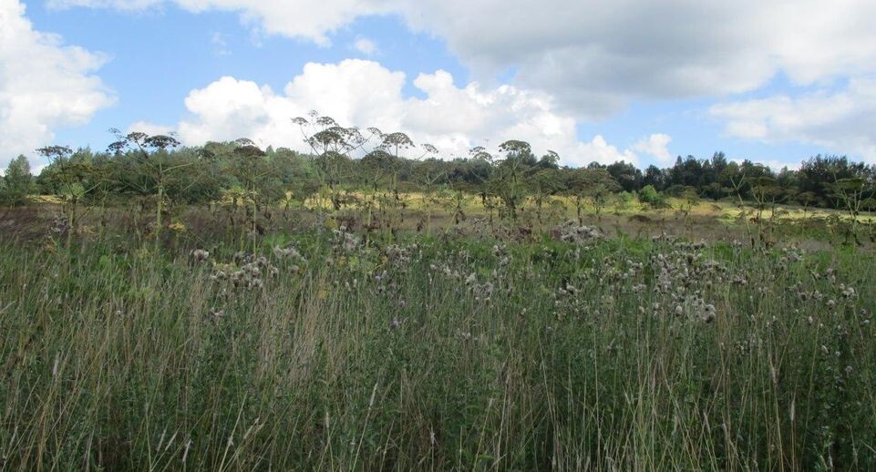    Россельхознадзор