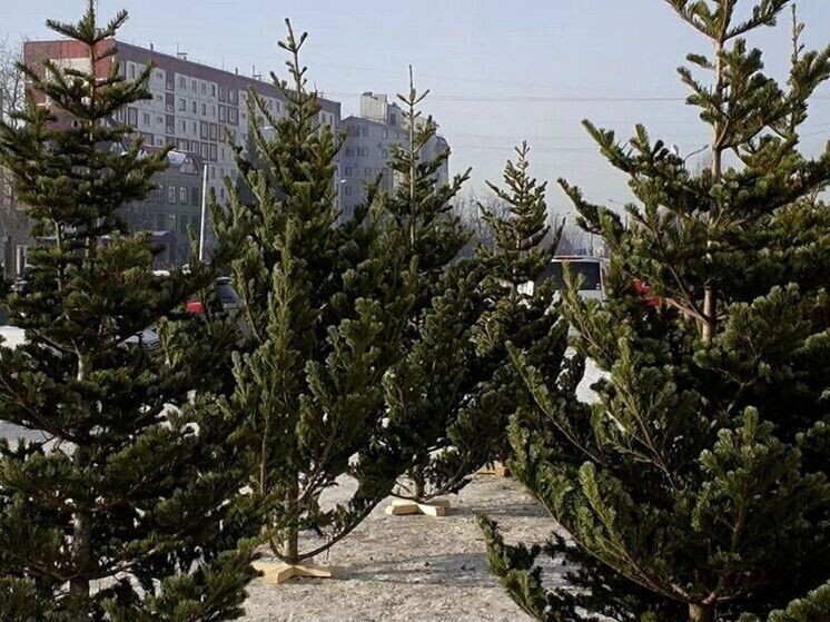     Фото: администрация Южно-Сахалинска