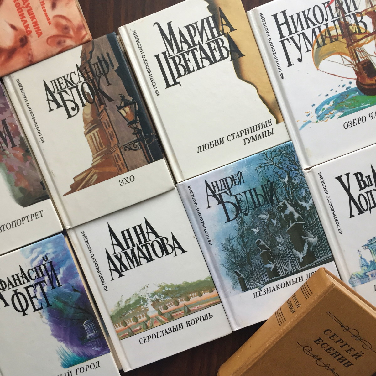 Маленькие книжечки из 90-х, совсем маленькие, книжка на ладошке — очень подходящий формат для стихов: одна страница — одно стихотворение. С хорошими предисловиями, где одни поэты Серебряного века пишут о других — например, Георгий Иванов — о Мандельштаме, Гиппиус — о Блоке. Цветаева сама о себе пишет, отвечает на анкету. Очень эти книжечки люблю, вожу повсюду за собой, подарила только разок одной из своих юных влюбленных героинь — она на них гадает.