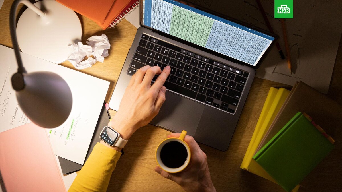    Фото: freepik.com