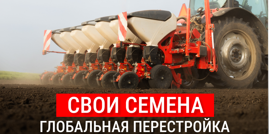 Российский рынок семян: собственная селекция и производство вместо дистрибуции