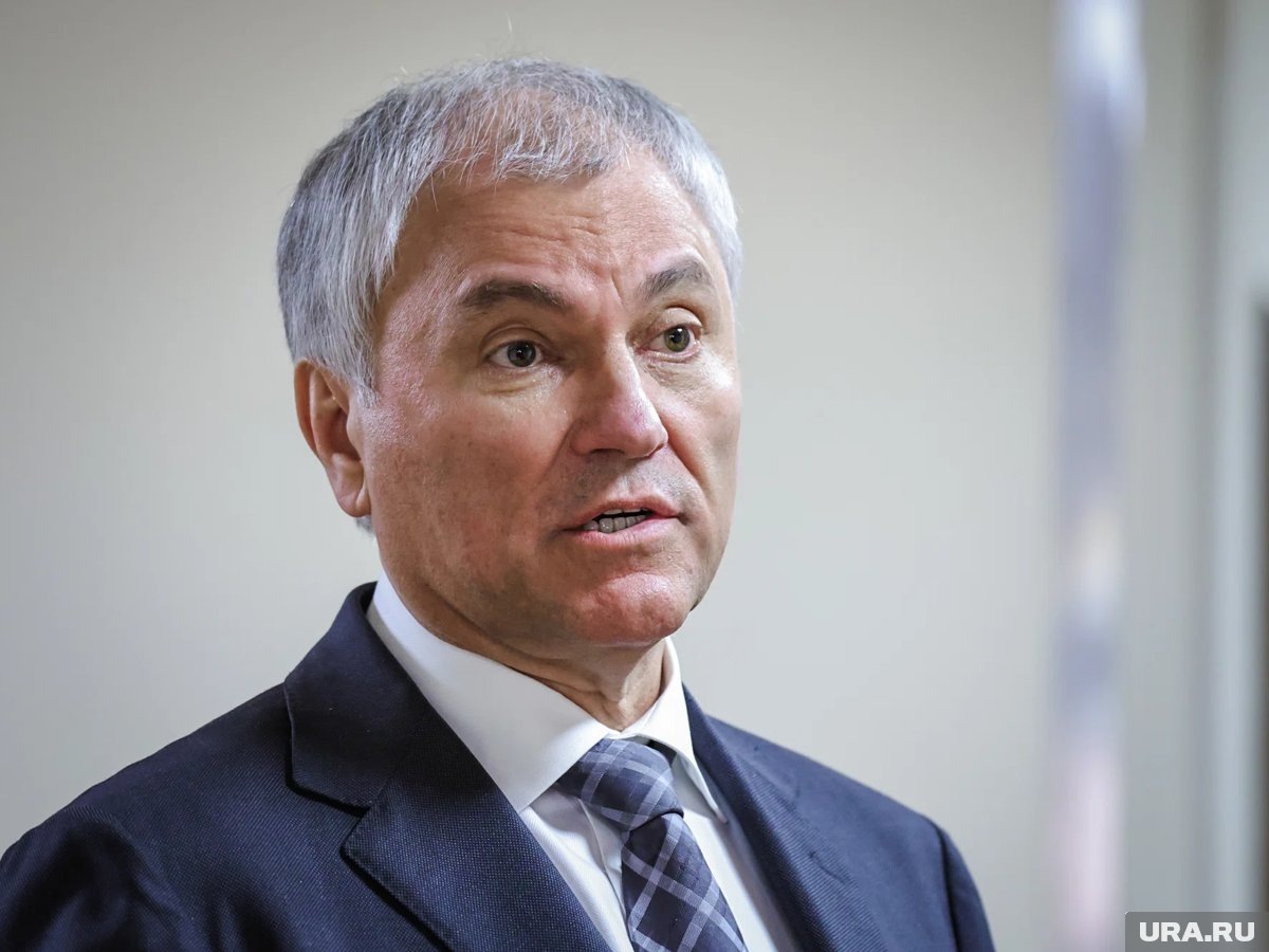     Володин рассказал про новые штрафы за навязывание товаров и услуг