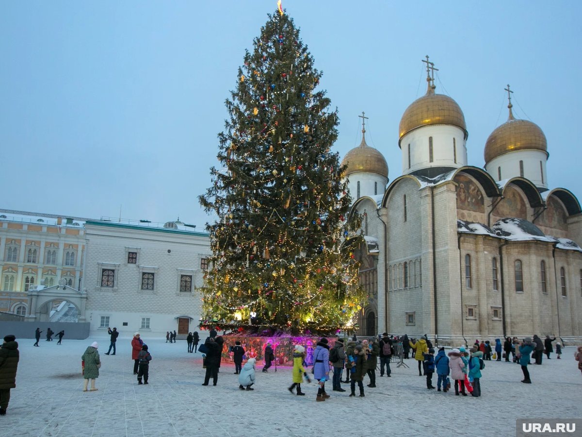     В этом году на ели будут самые большие за историю украшения светодиодные снежинки (архивное фото)