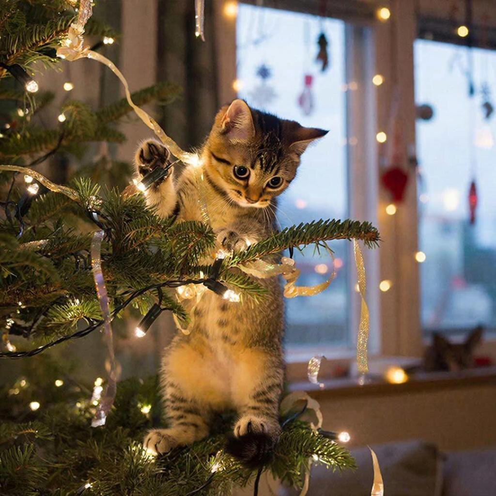    Картинка сгенерирована ИИ ekraterina