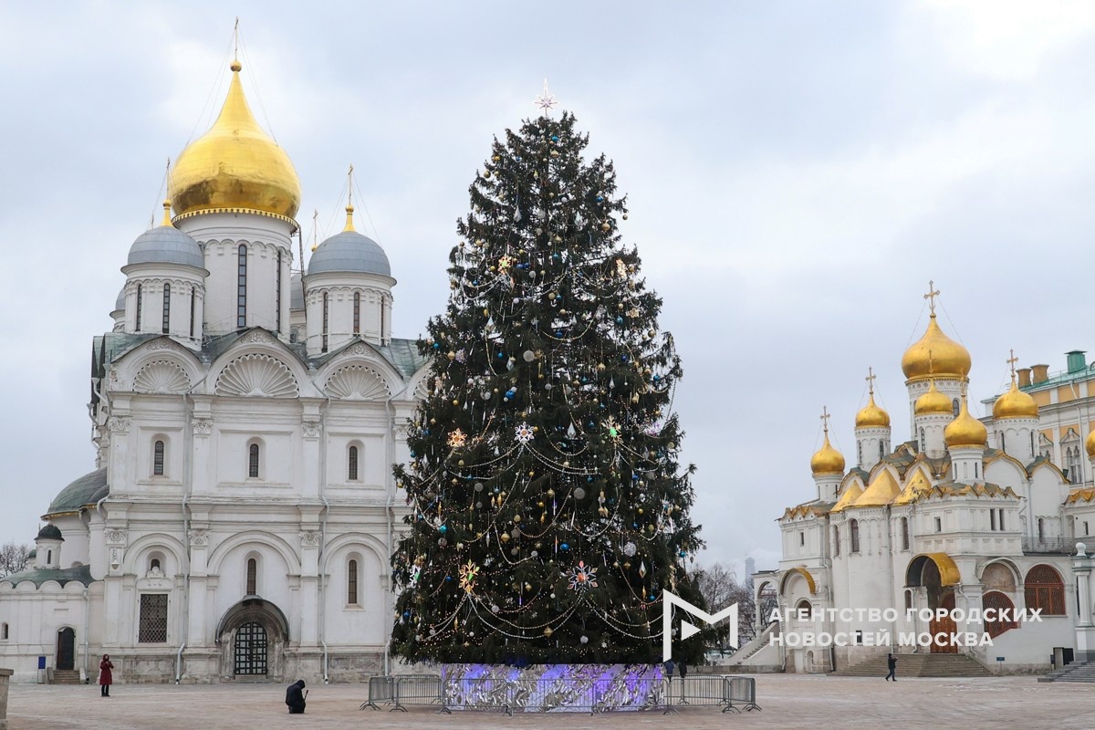 Фотограф: Ярослав Чингаев