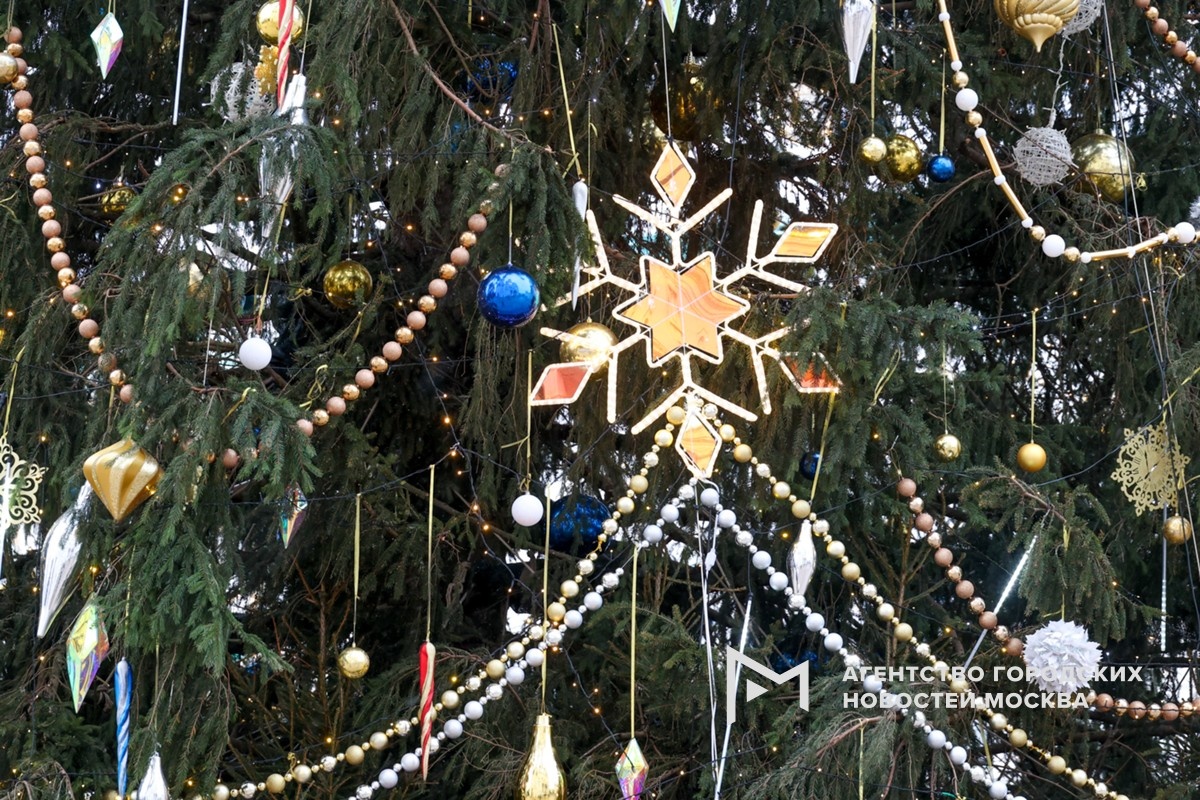 Фотограф: Ярослав Чингаев