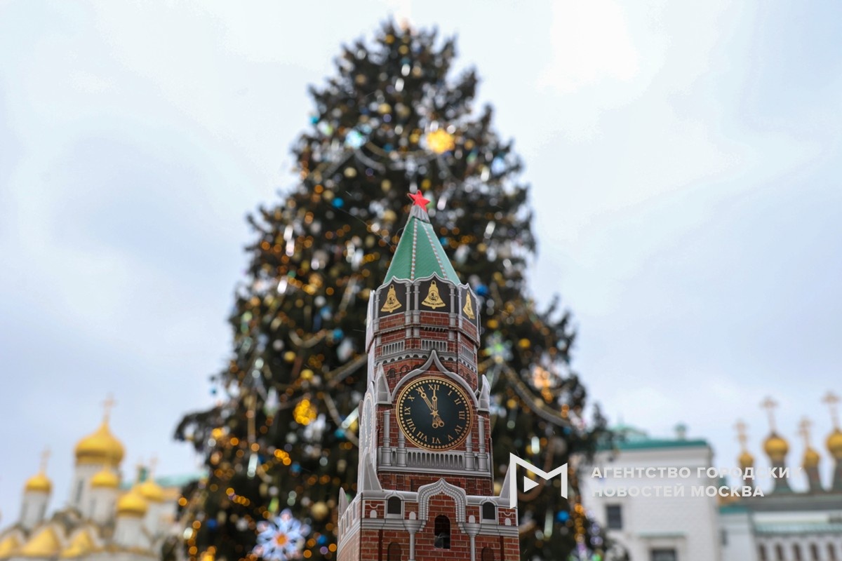 Фотограф: Ярослав Чингаев