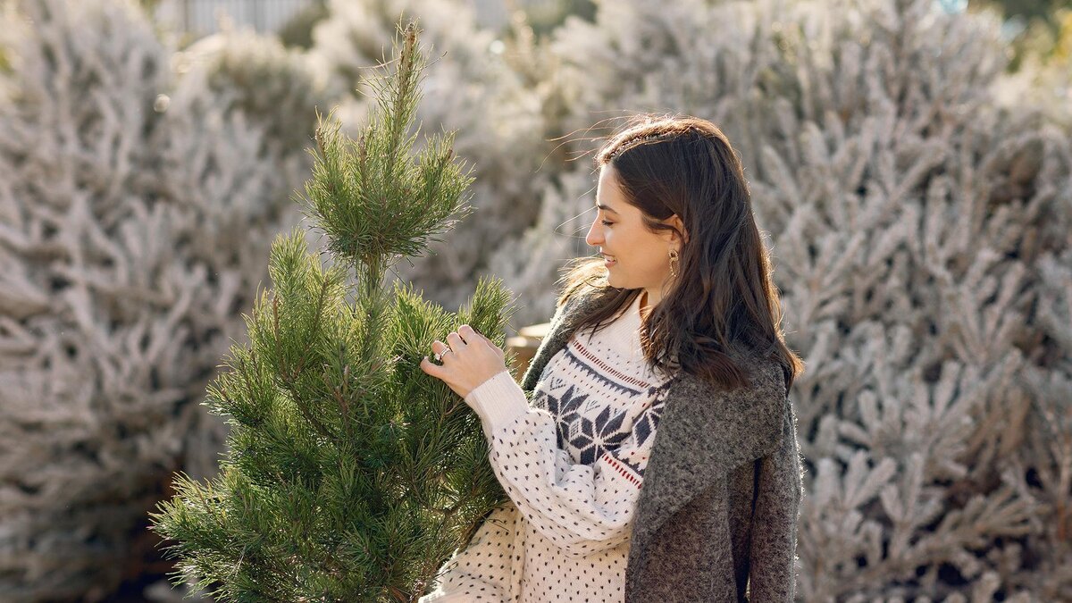    Фото: freepik.com/prostooleh