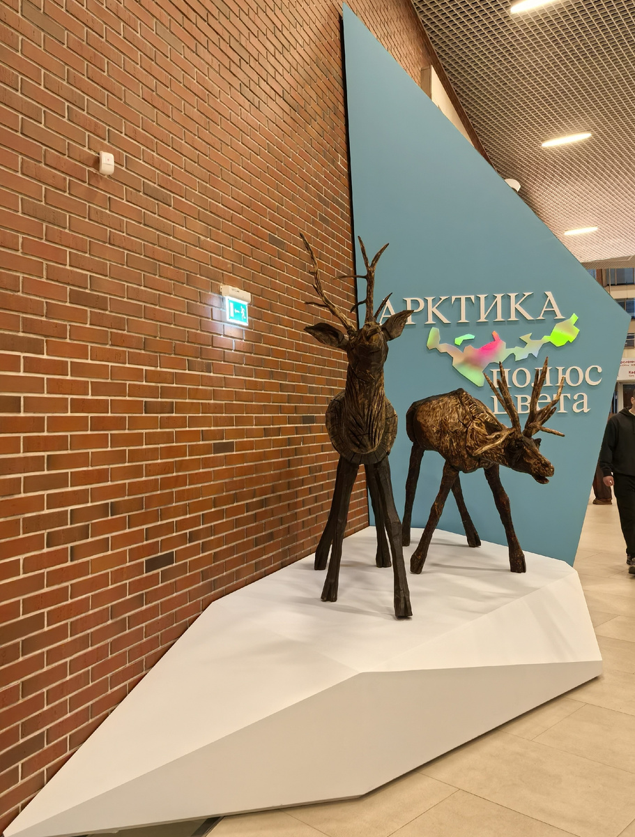 Арктика. Полюс цвета. Привет, олени!