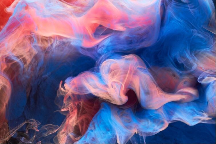 Фото: Научно-образовательные школы Московского университета