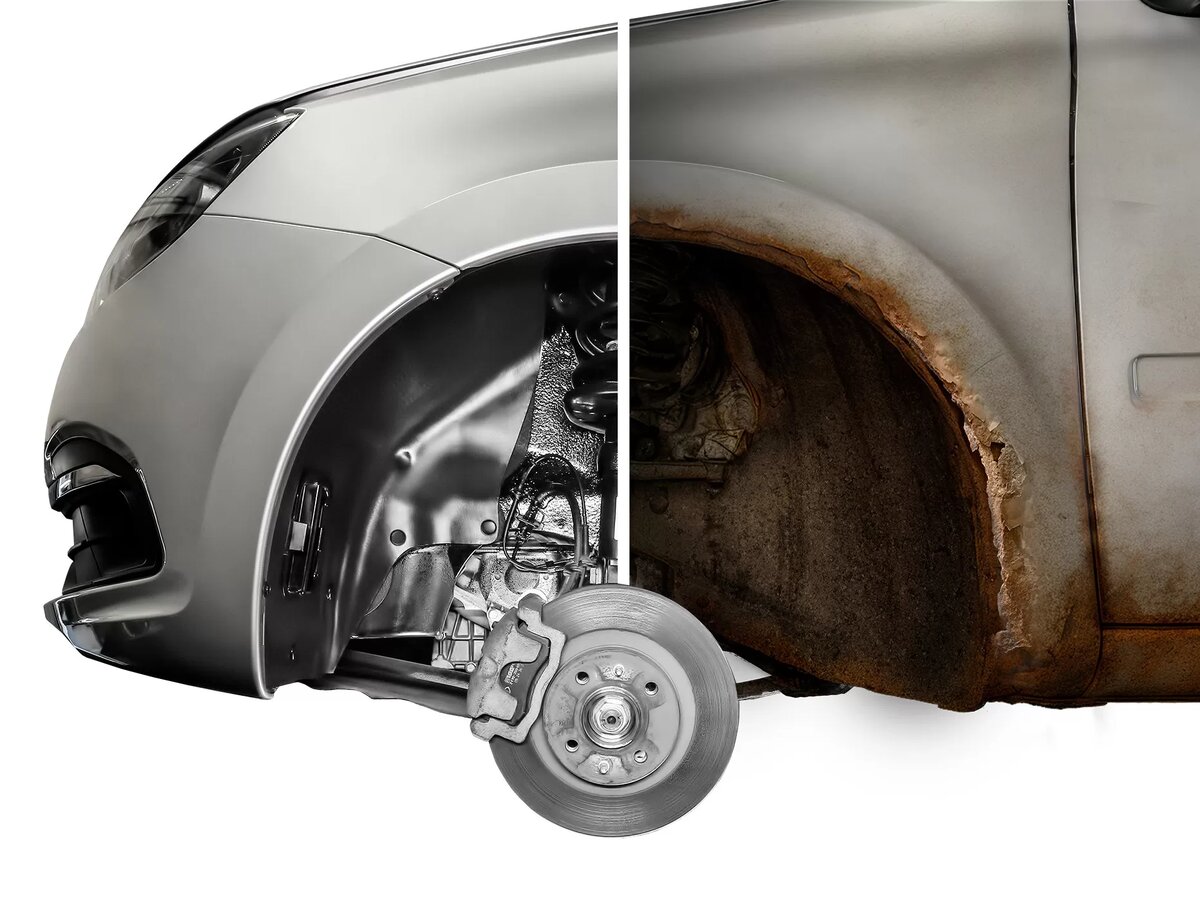 Фото: Автофемели