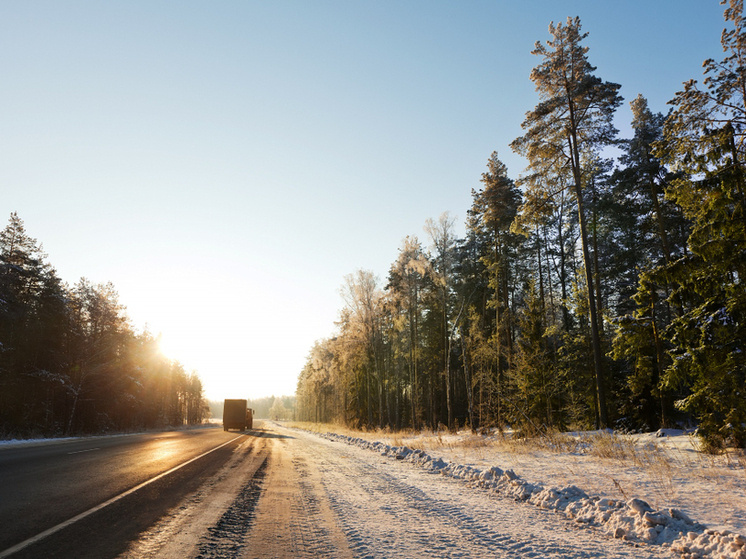     Фото: bearfotos на ru.freepik.com