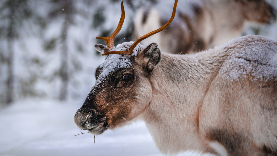    Фото: freepic.com.