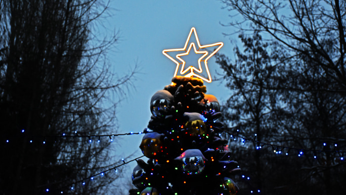    Фото: Omskinform.ru