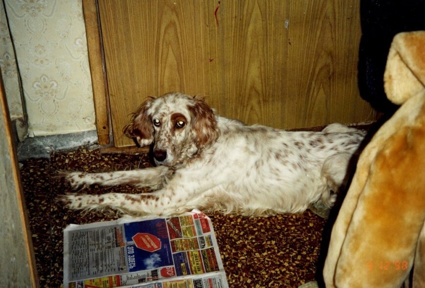     Фото автора