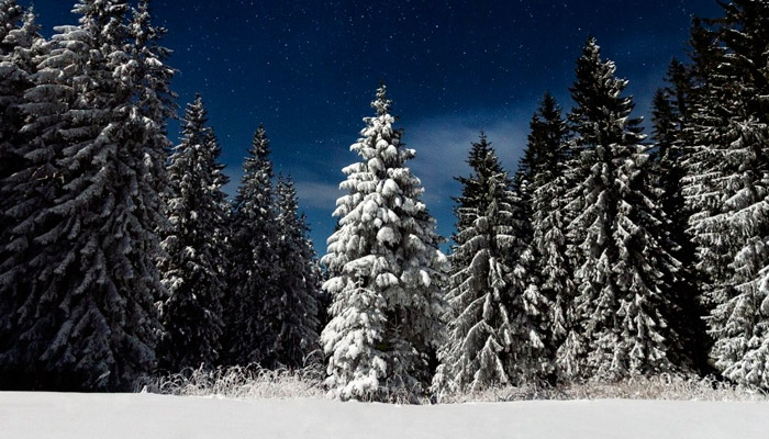 24 декабря наступает Никонов день. Фото: pxhere.com