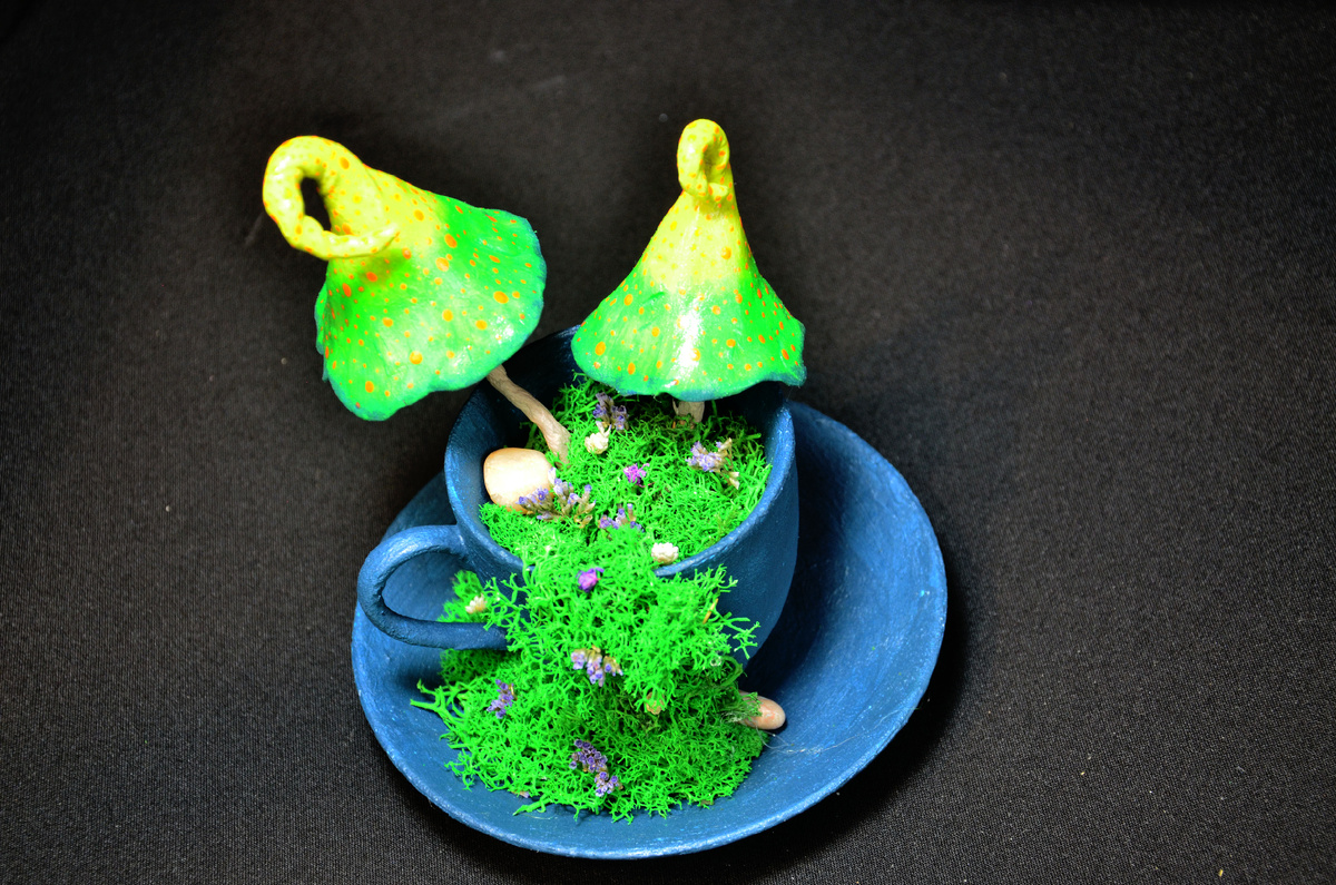 фото и проект автора