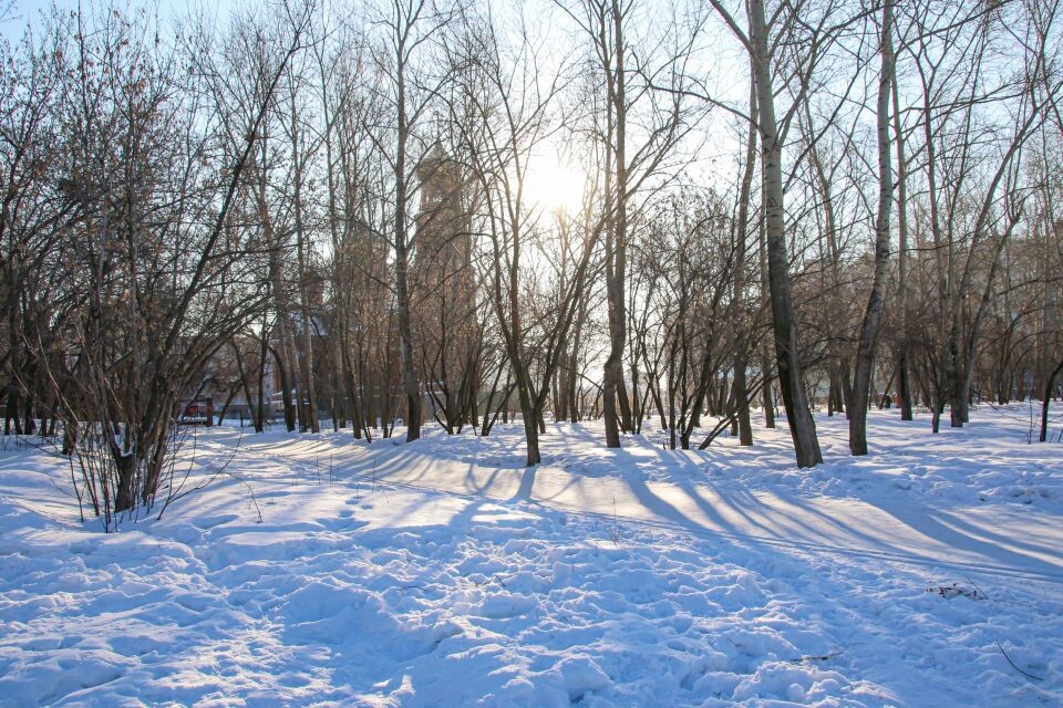    Зима. Снег. Погода.. Источник: Виталий Барабаш