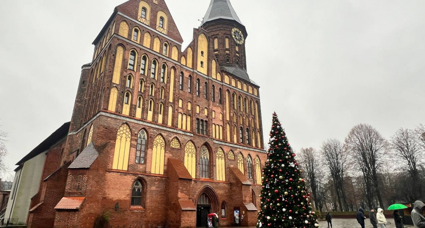    Первый городской канал Калининград