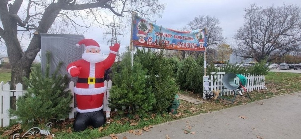   Фото: правительство Севастополя