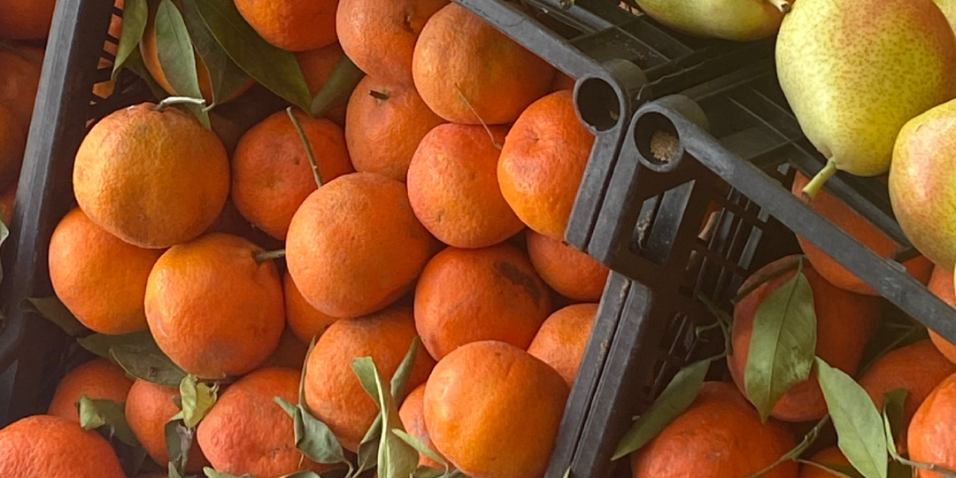 Овощи и фрукты декабря в Египте: что я увидела в овощной лавке