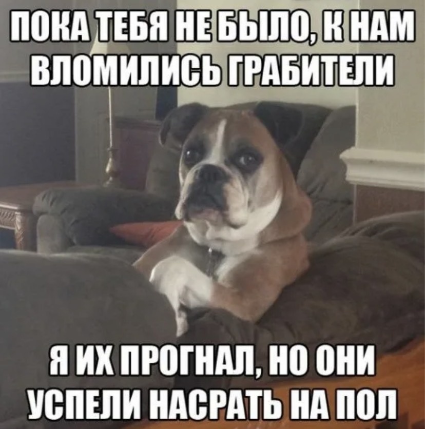 — Как поймать тигра в клетку?
— Никак. Тигры бывают только в полоску.