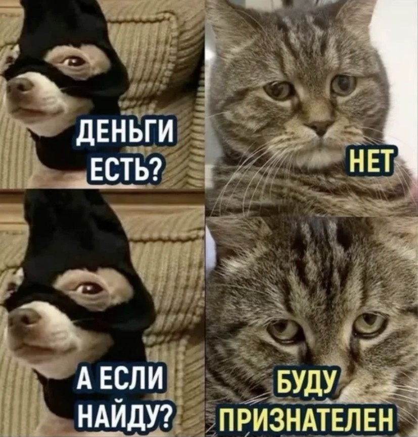 Смотрю мультик «Маша и Медведь» и не понимаю, как родители могли оставить это животное с медведем.