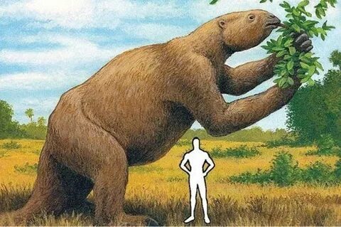 Мегатерий: когда ты ленив, но ростом с двухэтажный дом.
